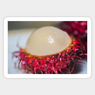 Rambutan in oahu’s Sticker